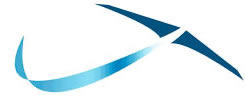 Recreational Aviation Australia Logo